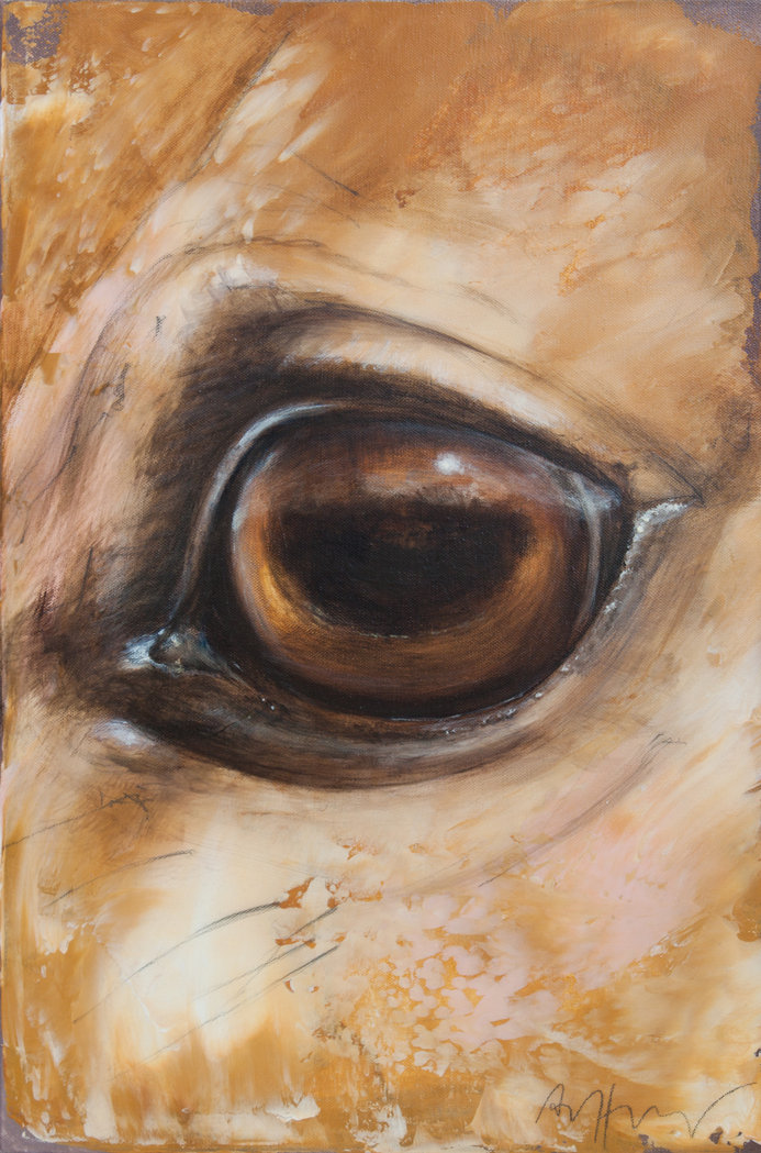 Thomas Aeffner -  Auge eines Pferdes